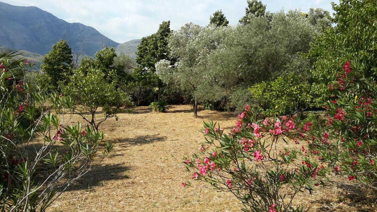 La Marina Gardens Beach Scauri  Exterior foto